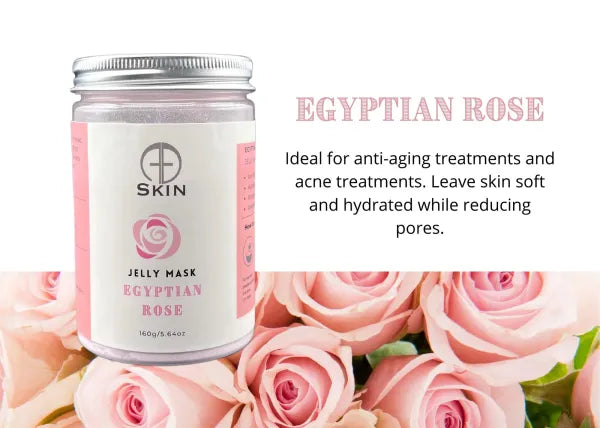 Egyptian Rose