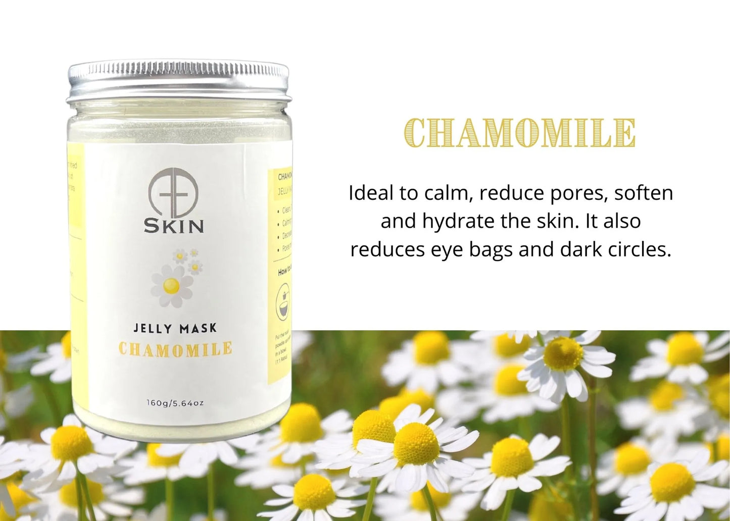 Chamomile
