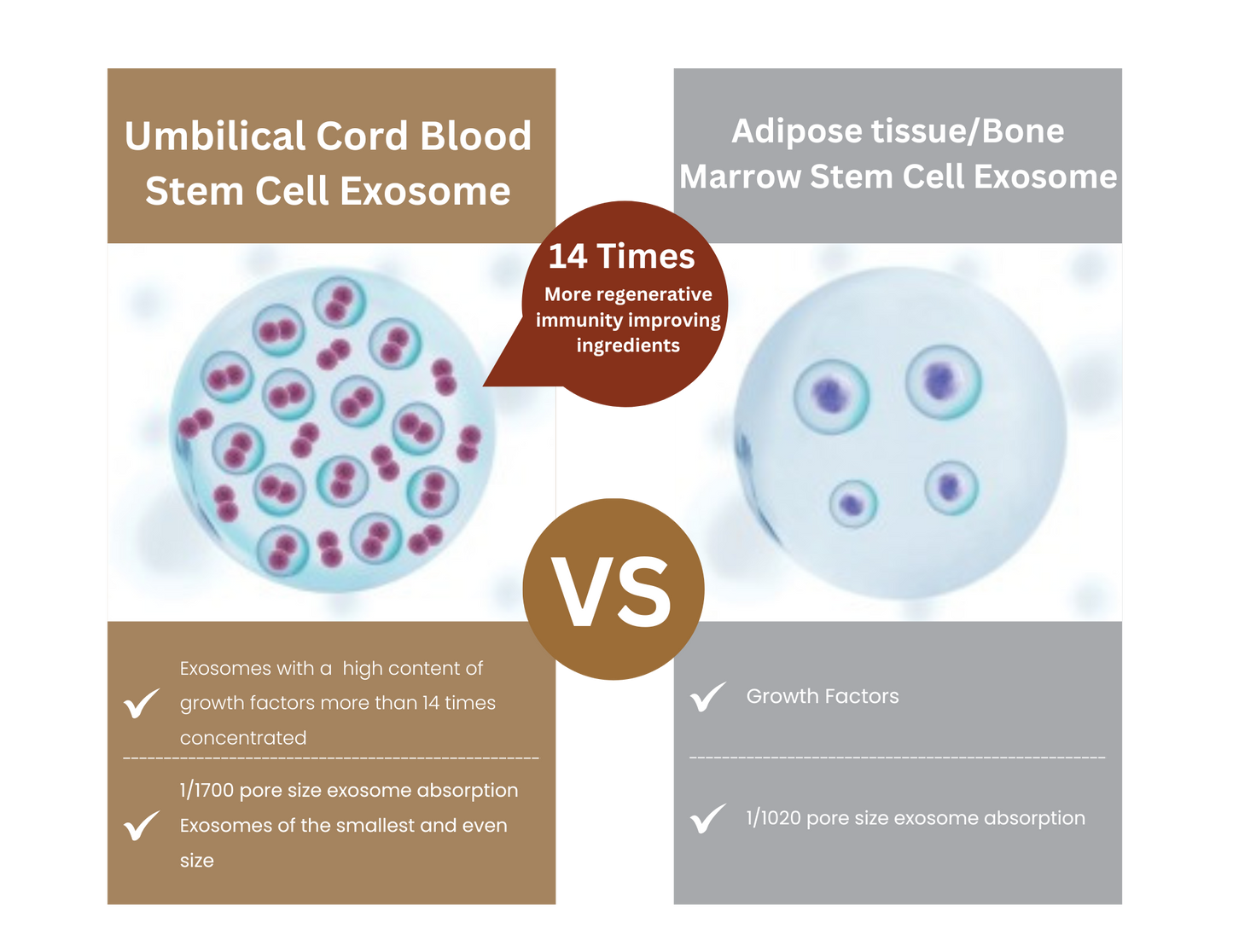 Filcore Exohealer SB